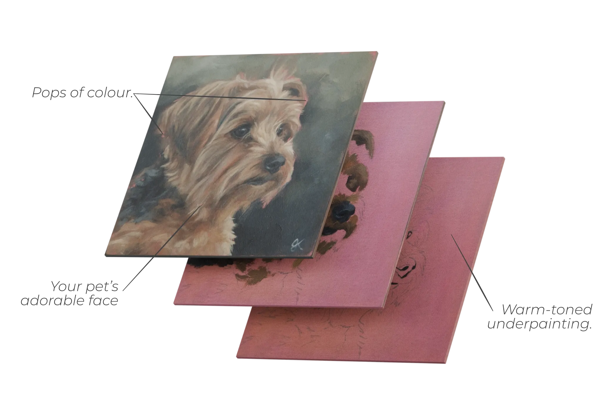 Three panels fanned out showing the stages of a terrier portrait: a pink underpainting, a blocked-in sketch, and the finished painting with pops of colour